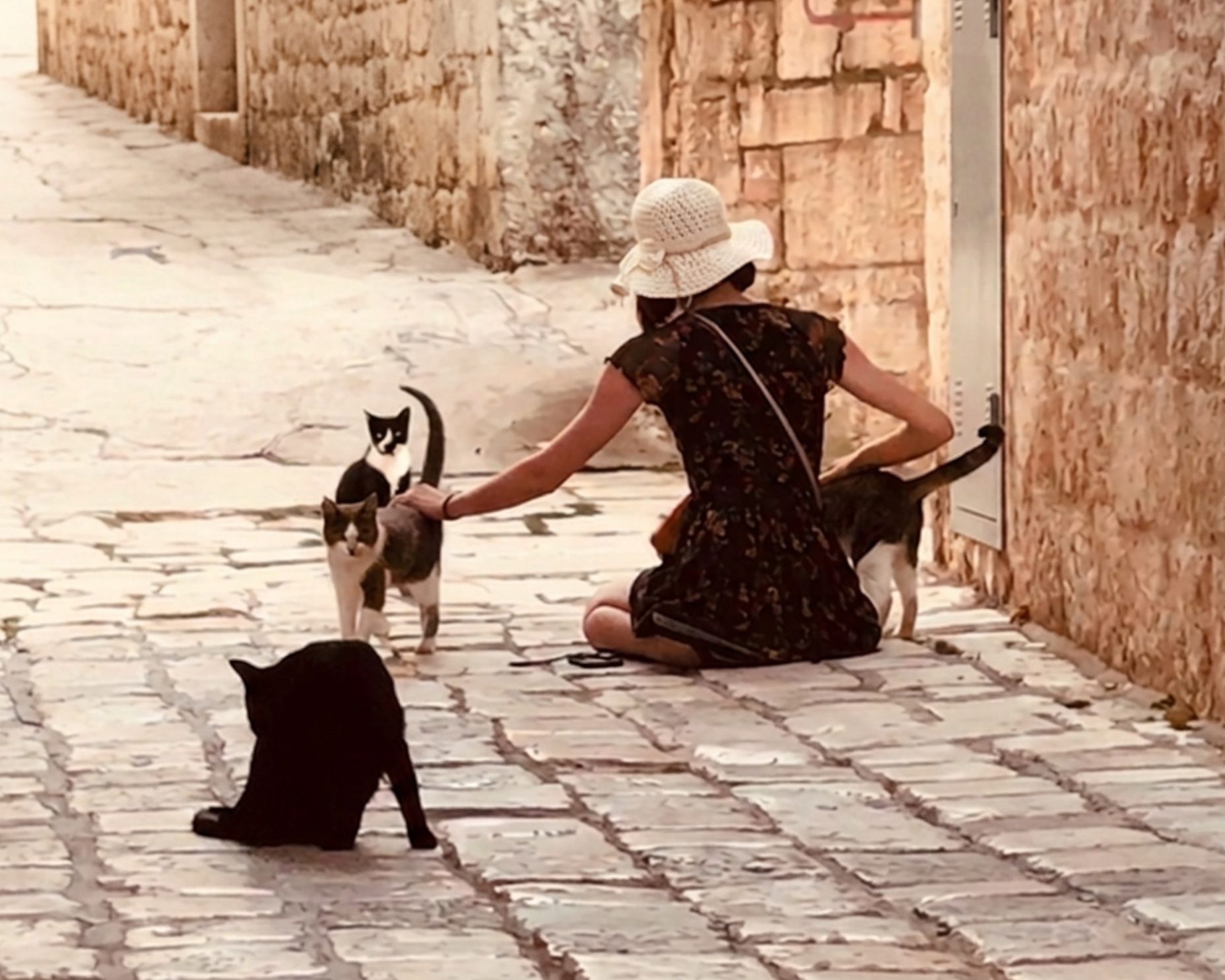 Eira Quinn sitting on cobblestones with cats